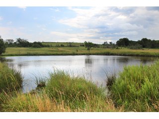 Property photo 39 - LAND AUCTION - 1,593+/- ACRES OFFERED IN 21 TRACTS IN OKMULGEE CO., OK
